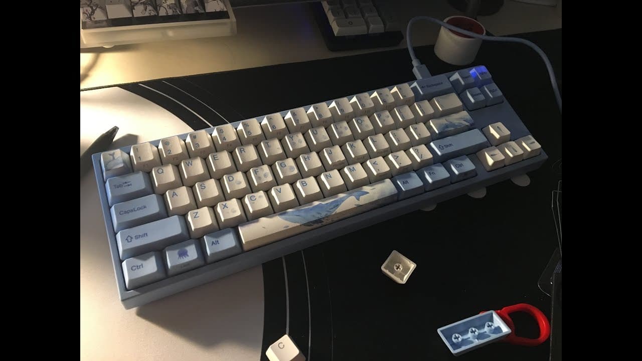 Ducky Miya Pro Sea Melody